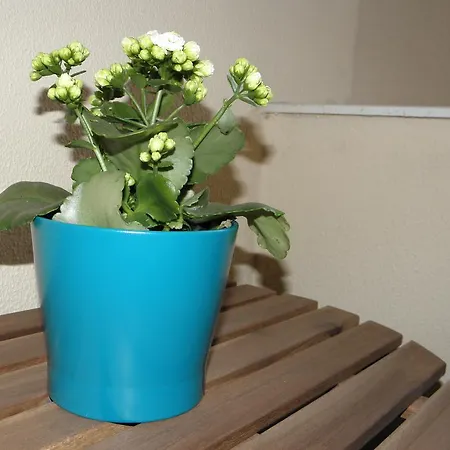 En 2 Jerez de la Frontera